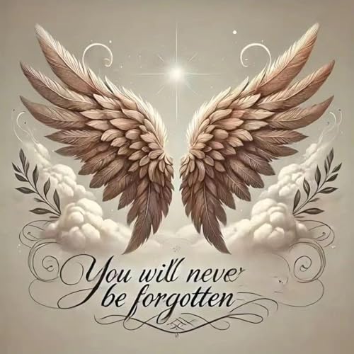 MBNTJHT Angel Wings Paint by Numbers Kit for Adults,Unframed Oil Painting by Number Kits for Adult Beginners,DIY Acrylic Painting Art Kits for Home Decor Gifts 16X16 Inch. - color: MT22332