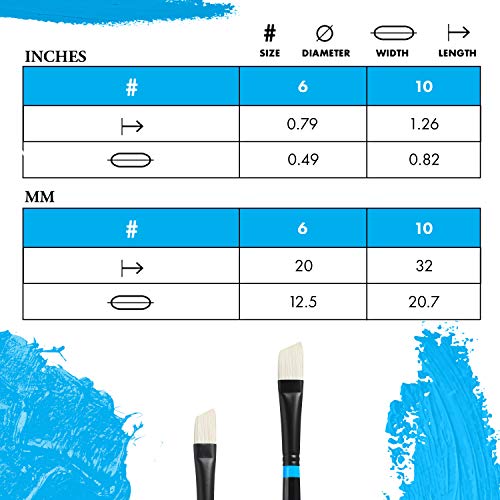 Princeton Aspen Angle Bright Brush, Synthetic, Long Handle, Size 10, 1 Count - color: Black, size: Size 10