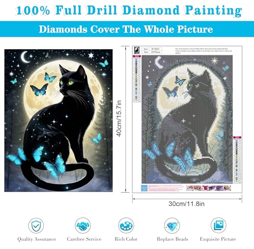 Meothan Diamond Art Kits for Adults Black Cat Diamond Painting Kit 12x16in - color: Black Cat-Round Drill, size: 11.8x15.7in(30x40cm)