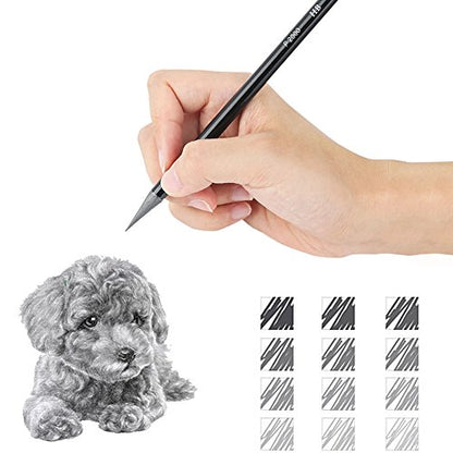 EVNEED Woodless Pencil Set,12 pcs Non-wood Graphite and Charcoal Sketching for Drawing,Writing,Shading,Color Black-Set of 12