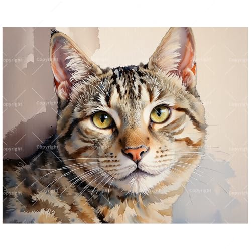 TAOPAOLAB Pet Art Paint by Numbers Kit for Adults - DIY Watercolor Tabby Cat with Yellow Eyes Painting on Canvas 16x20 Inches, Acrylic Paint Set, Suitable for Beginners, Art for Home Decoration/Gifts - color: FM04842, size: 40×50cm Unframed