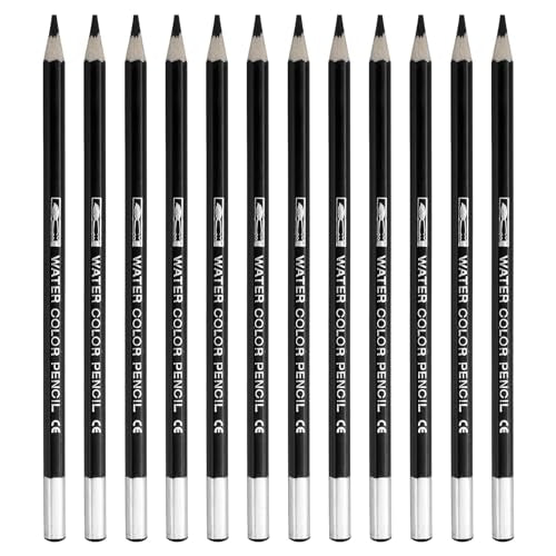 PATIKIL Watercolor Pencil, 12Pcs Water Soluble Pencils for Blending, Coloring, Sketch Drawing, Painting, Black - color: Black