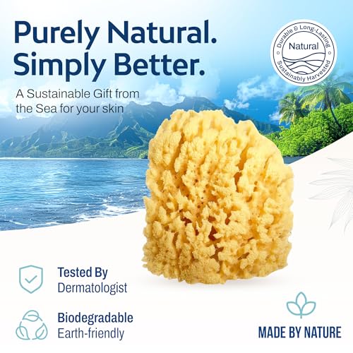 HartFelt Gentle Exfoliation Yellow Sea Sponge 4in | Natural Shower Sponges for Bathing for Men and Women | Rich Lather - size: 1 Count (Pack of 1), style: Yellow Sea Sponge