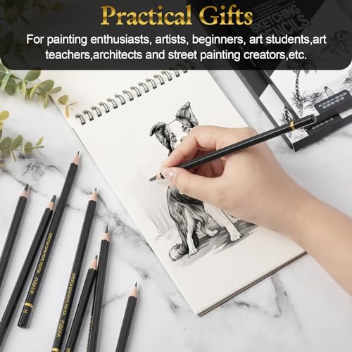 72 Pcs Sketching Pencils, 12B-4H Graphite Drawing Pencils | Art Set for Artists Beginners, Bulk Supply for Studios, Charcoal Graphite Blend, Shading Sketching, Gift-ready Packaging