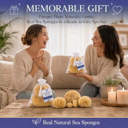 Natural Sea Sponge 5pk Spa Gift Set Bath Shower & Facial Care, Premium Bag | 5 assorted sizes for bath, shower & face. Hypoallergenic, kind on skin. Gift for moms, brides & teens. Comes in premium bag. - style: 5 Piece set in bag