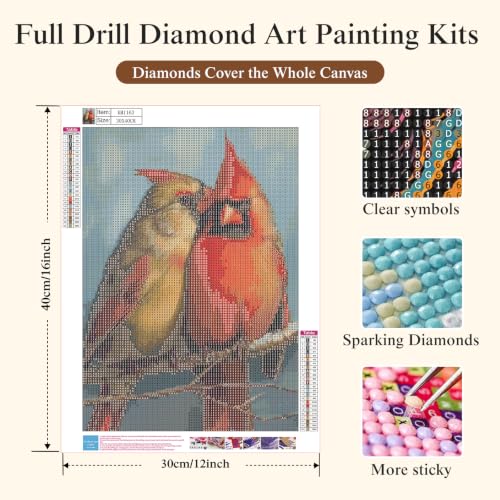 Diamond Painting Kits for Adults Beginners,5D Bird Diamond Art Kits - color: KM1163-1