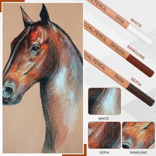 Geyoga 36 Pcs Charcoal Drawing Set Black White Brown Charcoal Pencils for Sketching, Shading, Blending, Portrait, for Beginners & Artists