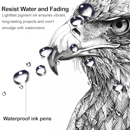 Micro Fineliner Drawing Art Pens, 12 Assorted Sizes, Waterproof Archival Ink, Art Supplies for Adults Sketching, Calligraphy, Technical Illustrators.