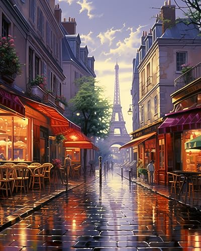 Tucocoo Paint by Number France Street Scenery Street Town Landscape DIY Painting On Canvas with Brushes Acrylic Paints Paint by Numbers for Adults and Kids Students Beginner 16x20 Inch（Without Frame） - color: Scenery 01, size: 16''x20''(Frameless)