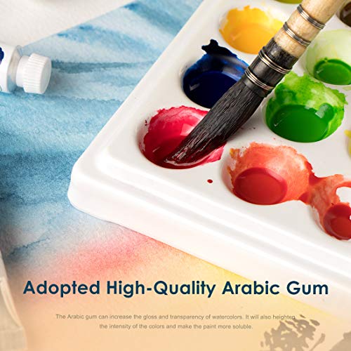 Paul Rubens Watercolor Paint, 24 Vibrant Colors Highly Pigmented, 5ml Tube | Rich-Pigmented Colors, Rewettable Fade Resistant Pigments, Non-Toxic Art Supplies for Artists, Beginners, Students