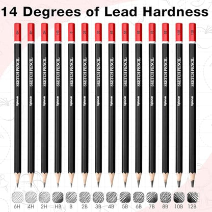 Professional Sketch Pencil Set, 14 Piece Drawing Pencils (12B-6H), Graphite Charcoal Art Pencils with Eraser and Sharpener in Metal Tin Case