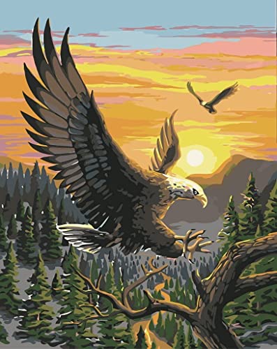 MTinHD 16x20 DIY Paint by Numbers for Adults Eagle DIY Painting Kit with Wooden Framed on Canvas - color: Eagle