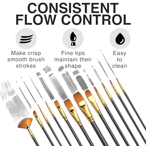 Professional Artist Paint Brush Set of 12 - Painting Brushes Kit for Kids, Adults Fabulous for Canvas, Watercolor & Fabric - for Beginners and Professionals - Great for Water, Oil or Acrylic Painting