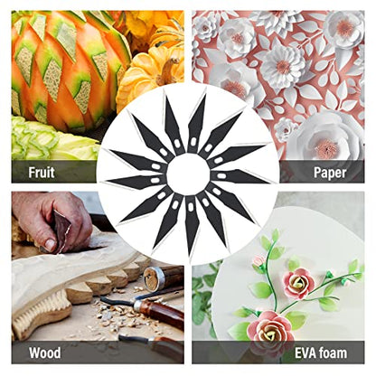 EHDIS Precision Craft Knife Blades 11# Refill Art Blades Cutting Tool With Storage Case for Hobby, Scrapbooking, Stencil (50)