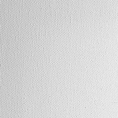 Practica Economy Stretched Cotton Canvas - Acid-Free Acrylic Primed Canvas for Acrylics, Pastels, Graphite, & More! - [2-Pack - 8x10] - size: 8x10"