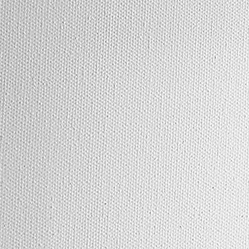 Practica Economy Stretched Cotton Canvas - Acid-Free Acrylic Primed Canvas for Acrylics, Pastels, Graphite, & More! - [2-Pack - 6x6] - size: 6x6"