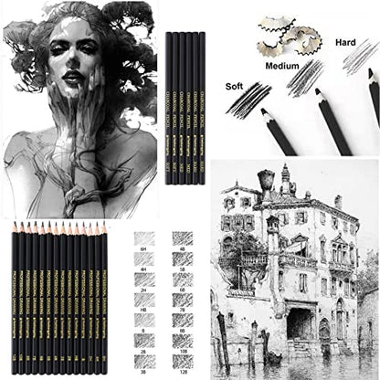 Heshengping 31 Drawing Sketching Pencils Kit, Portable Artist Supples Travel Case Set has Graphite, Charcoal, white color pencil, Blending Stump, gift for Adults Beginners for Drawing Sketch