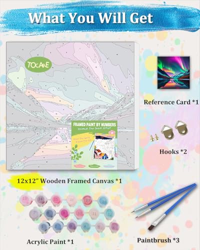 TOCARE Framed Paint by Numbers Kit for Adults Beginners,12x12inch Easy Aurora Paint by Number with Frame,Northern Lights Paint by Numbers Framed Canvas(Without Easel) - color: TC-F-226