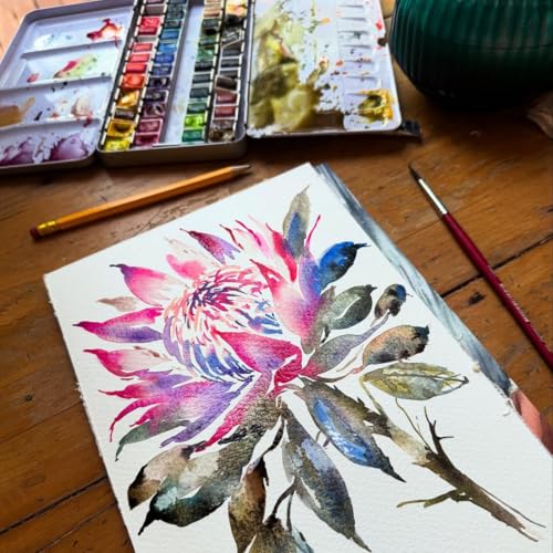 PHOENIX Watercolor Paint Set – 48 Half Pan Colors with Portable Tin Box, Ideal for Beginners, Students, Hobbyists, and Art Classes - color: 48 Classic Colors