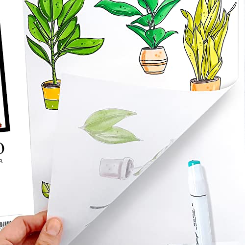Bianyo XL Bleedproof Marker Paper Pad, A3(11.69"X16.54"), 50 Sheets, 18 LB / 70 GSM, Glue-Bound, 100% Cotton, White, Ideal for Use with Markers and Ink Mediums - size: A3(11.69*16.54"), 50 sheets
