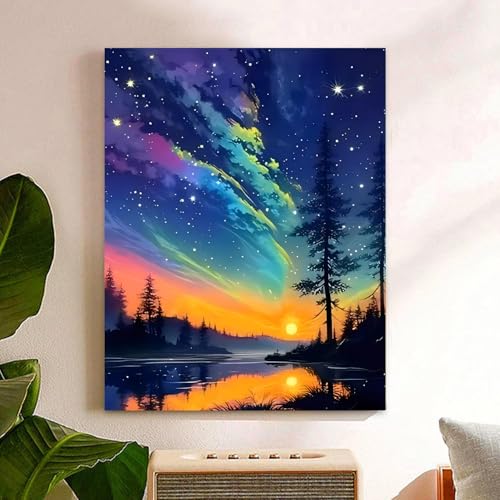 Reivworl Landscape Paint by Numbers Kit for Adults, Aurora Paint by Number for Adults, Adult Paint by Number Kits for Gifts and Home Wall Decor 16x20 Inch - color: 10-Aurora, size: Without Frame