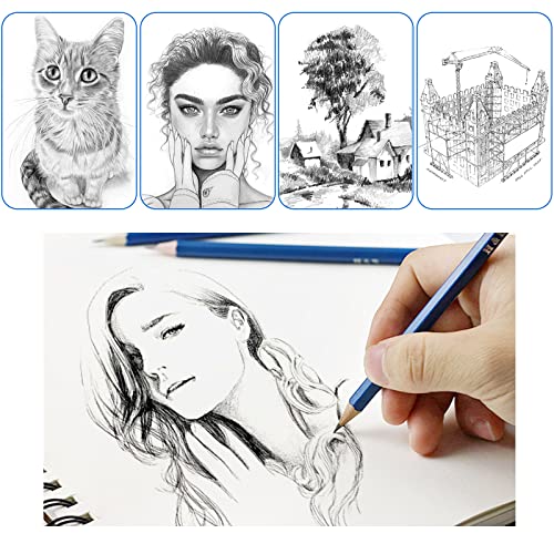 H & B 12 PCS Pencil Drawing Kit, H-4H, F, HB, B-6B Graphite and Charcoal Sketch Pencil Set for Beginners, Professional Artists - size: 12 Count (Pack of 1)