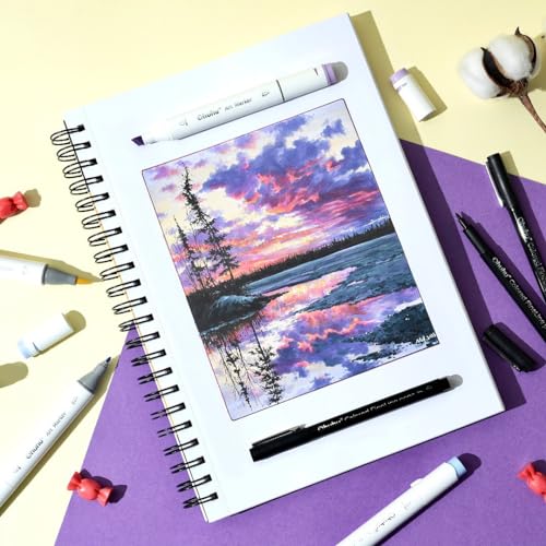 Ohuhu Alcohol Markers Double Tipped Art Marker Set for Artists Adults Coloring Sketch Illustration - Chisel & Fine - 100 Colors - Oahu of Ohuhu Markers - Refillable - AP Certificated | AP Certified Art Marker, Dual Tips Alcohol-based for Artists Beginners