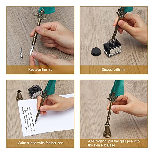 AHIER Quill Pen and Ink Set, Feather Pen Quill Pen Set Includes 5 Steel Replacement Nibs,Pen Nib Base and Dip Ink Bottle for Antique Calligraphy - color: Green
