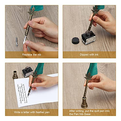 AHIER Quill Pen and Ink Set, Feather Pen Quill Pen Set Includes 5 Steel Replacement Nibs,Pen Nib Base and Dip Ink Bottle for Antique Calligraphy - color: Green