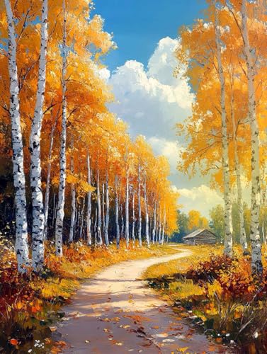 PINFFSHU Autumn Scenery Diamond Painting Kits for Adults 5D Sparkling Birch Forest Path Artwork Diamond Art Kits for Adults Full Drill Diamond Art Painting Kits Gem Art Kits for Wall Decor 12x16 Inch - color: Orange, yellow, brown, blue, white