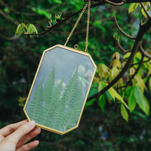 NCYP 4" x 6" Small Glass Floating Frame with Chain for Artwork Photo, Picture, Pressed Dried Flowers, Plant Specimen - Home Wall Hanging Decor, Octagon, Gold, Handmade (Glass Frame Only) - color: Gold, size: 4x6inches