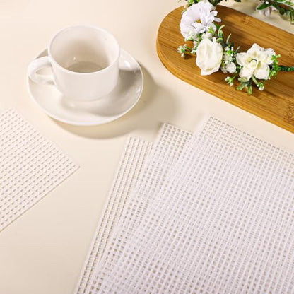 6pcs Plastic Mesh Canvas Sheets, 11.02x9.06in 5CT (Transparent) - color: Transparent