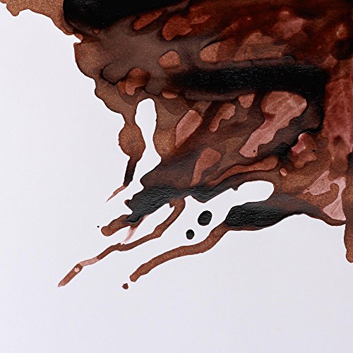 Winsor & Newton Drawing Ink, 14ml Bottle, Nut Brown | Fast-drying, transparent & water-resistant; Outstanding Color Brilliance; Perfect for brush, dip pen, airbrush applications. - color: Nut Brown, style: 14ml Bottle