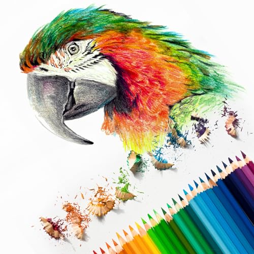 PATIKIL Watercolor Pencil, 12Pcs Water Soluble Pencils for Blending, Coloring, Sketch Drawing, Painting, Pink - color: Pink