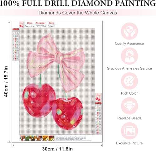 EIBEILI Cherry Diamond Art Kits for Adults,Cherry Diamond Painting Kits for Adults Beginner,5D DIY Full Round Drill Diamond Dots Paintings for Home Wall Decor Gift 12X16inch - color: DP02366