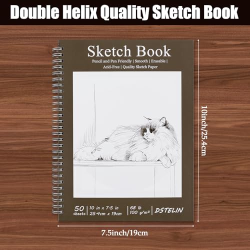 DSTELIN 2 Pack 10" x 7.5" Spiral Bound Art Sketchbook, 50 Sheets 68LB/100GSM Acid-Free Thick Paper, Sketch Pads with Cardboard Backing for Artists and Students