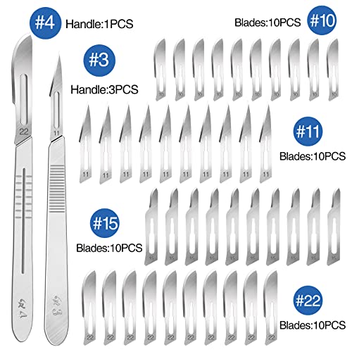 44 PCS 40 Scalpel Blades with #10#11#15#22 Scalpels Surgical Sterile Blades - color: 44 PCS Handle And Blades#10#11#15#22