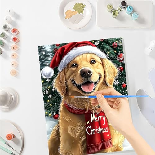 SENQAO Christmas Paint by Numbers for Adults Framed, Golden Retriever Adults' Paint-by-Number Kits, Adult Paint by Number Kits on Canvas, Acrylic Number Painting for Home Decor, 8x12in - color: Golden Retriever