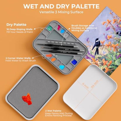 Nicpro Miniature Painting Kit with Wet Palette, Detail Paint Brush Drybrush | 11PCS Detail Paint Brushes Drybrush, 100PCS Wet Pallet Paper, 4PCS Sponge, Brush Holder, For Miniature Model Painting - color: White