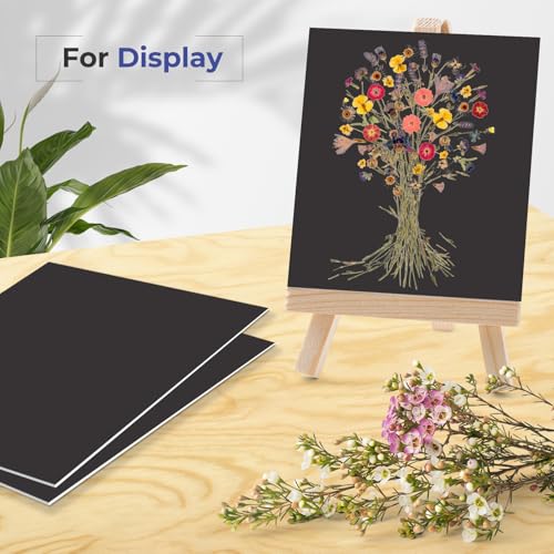 AUEAR 8x10 Uncut Picture Mat Boards, White and Black Matt Boards, 10-Pack - color: Black and White, size: 8x10