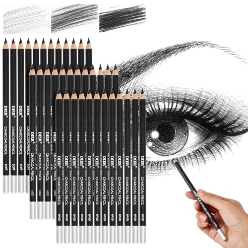 Geyoga 36 Pcs Professional Charcoal Pencils Bulk Classroom Set Soft, Medium and Hard for Drawing Charcoal Pencils for Sketching Shading Drawing Blending Portrait(Black,Assorted) - style: Assorted