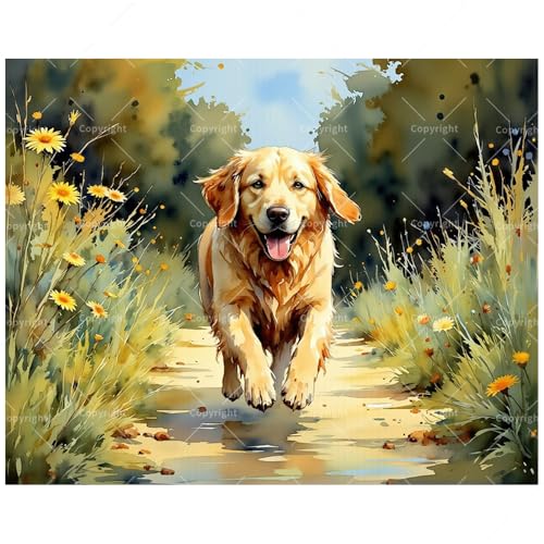 Golden Retriever Pathway Paint by Numbers Kit for Adults - DIY Dog Running Through Flowers Painting on Canvas 16x20In, Framed Acrylic Paint Set, Suitable for Beginners, Animal Art for Home Decoration - color: FM04173, size: 16×20in Framed