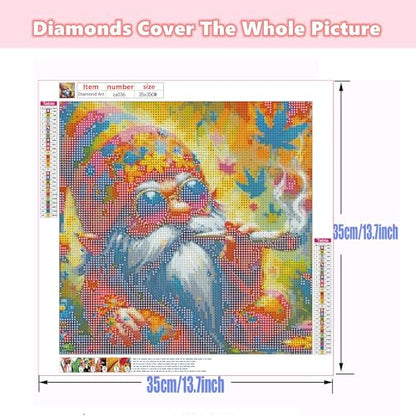 Ohhvvow Christmas Diamond Art Painting Kits for Adults, Full Drill Santa Claus Diamond Dots Paintings for Beginners 5D Round Diamonds Pictures Gem Art Painting Kits DIY Crafts, 14x14 Inch - color: Santa Claus