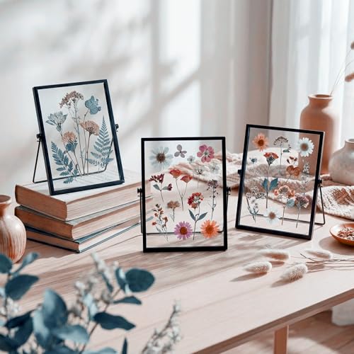 Hoteam 12 Pack Black Floating Photo Frame, 6 x 8 Inches Double Glass Desktop Picture Frames with Metal Stand for Pictures Photos Pressed Flowers Desk Tabletop Display - color: Black, size: 6 x 8 inches