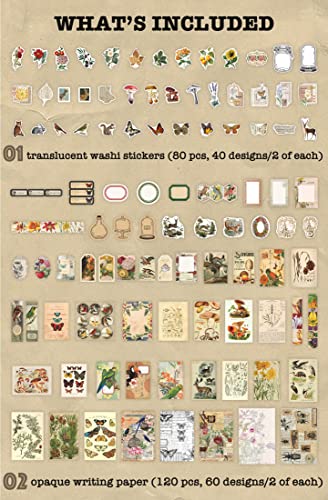 Knaid 200 Pieces Vintage Ephemera Pack Decoupage Paper Junk Journal Kit Scrapbook Planner Sticker Supplies for Art Journaling Bullet Journals Collage Craft Notebooks Album Crafter Gifts (Forest) - style: Forest