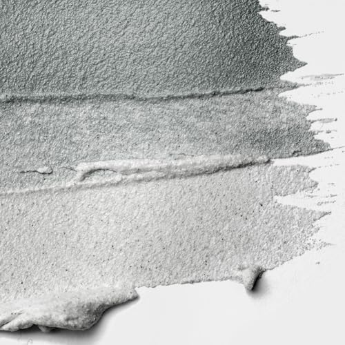 Liquitex Professional Effects Medium, 237ml (8-oz), Ceramic Stucco | 100% Acrylic Polymer Gel, Dries to Light Gray Matte Stucco Finish, Gives Opaque/Semi-Opaque Appearance, Highly Flexible - color: Ceramic Stucco, size: 8 Fl Oz (Pack of 1), style: 8-oz