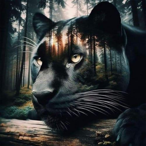 Anuver Landscape Diamond Painting Kits for Adults, 5D DIY Diamond Art Kits for Beginners, Full Drill Diamond Painting Kits for Home Wall Decor, Black Panther 12x12 Inch - color: Leopard
