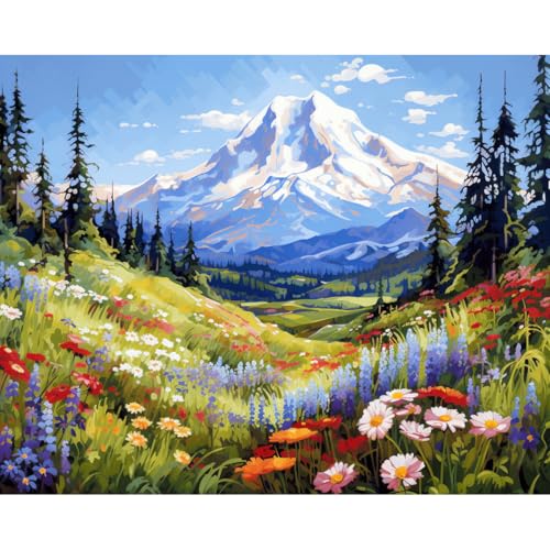 Craftoria Paint by Numbers for Adults 40"x50"cm Framed Floral Meadow Bliss 48 Colors - color: Meadow Bliss - 48 COLORS, size: Framed