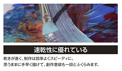 Turner Acrylic Paint Set Artist Acryl Gouache - Super Concentrated Vibrant Acrylics, Fast Drying, Velvety Matte Finish - [Set of 12 | 20 ml Tubes] - size: 8.16 Fl Oz (Pack of 1)