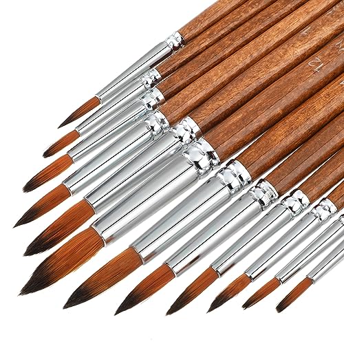Thinp Watercolor Painting Brush Set 12Pcs Round Pointed Tip Artist Paint Brushes Professional Detail Paint Brushes for Watercolor Acrylics Oil